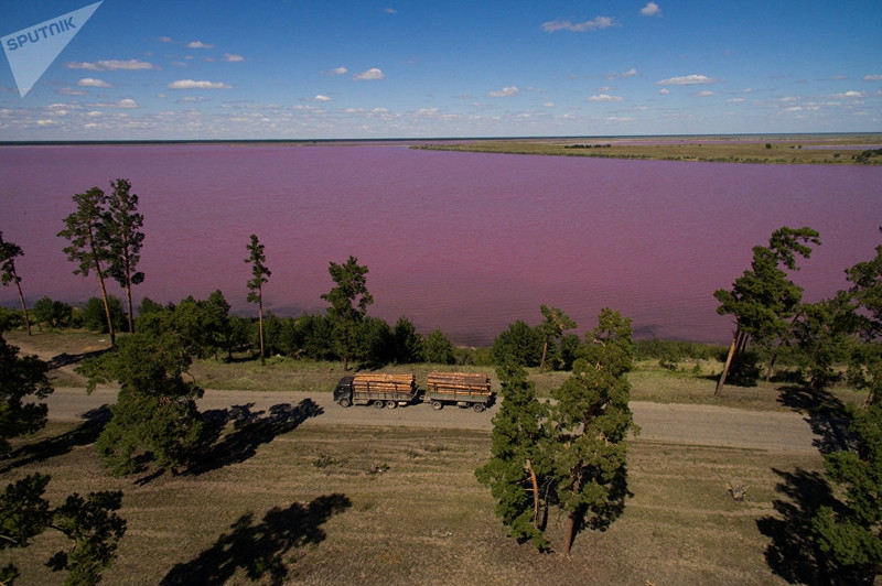 nhung ho muoi mau hong tuyet dep o nga