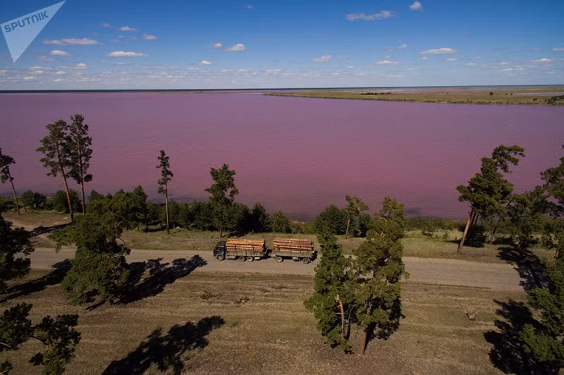 nhung ho muoi mau hong tuyet dep o nga