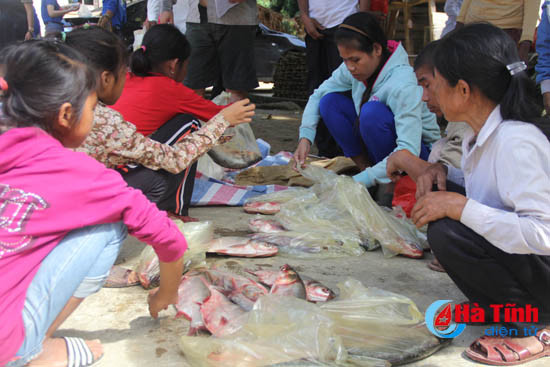 photo ban rao tre vui mung don tet lap lo