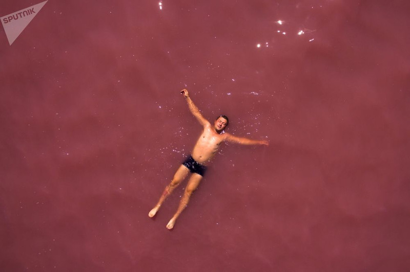 nhung ho muoi mau hong tuyet dep o nga