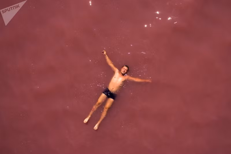 nhung ho muoi mau hong tuyet dep o nga