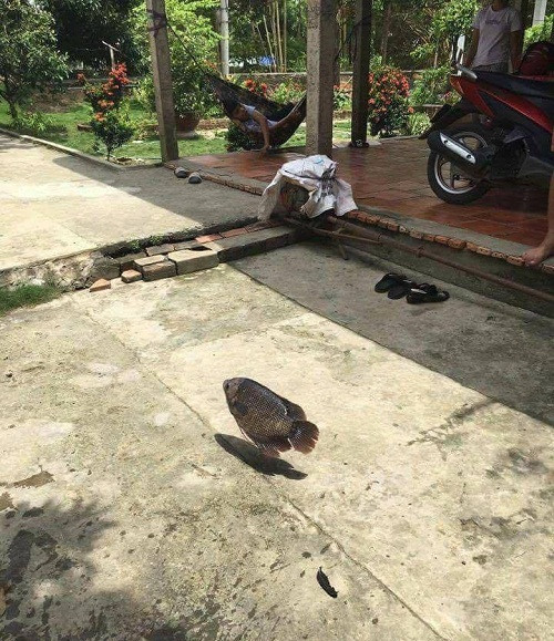 10 anh hai hot nhat facebook trong ngay