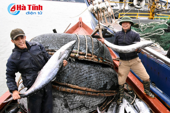 ha tinh niem thuong noi nho
