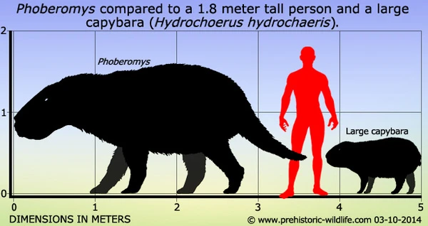 8 quai vat chung ta nen cam ta troi dat vi chung da bien mat