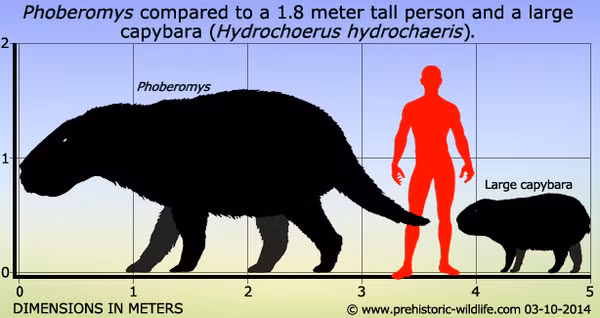 8 quai vat chung ta nen cam ta troi dat vi chung da bien mat