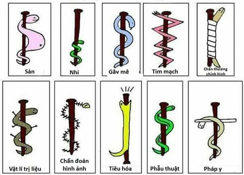 10 anh hai hot nhat facebook trong ngay