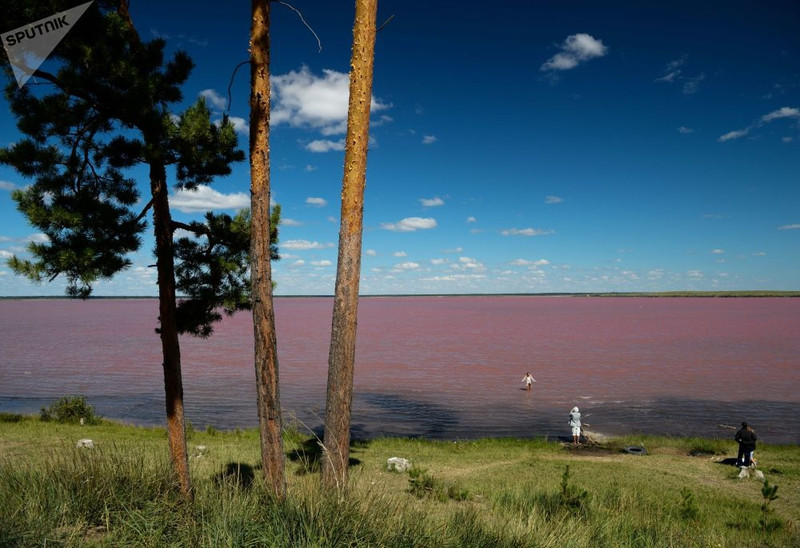nhung ho muoi mau hong tuyet dep o nga