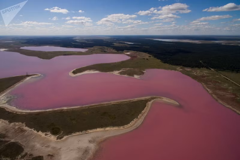 nhung ho muoi mau hong tuyet dep o nga