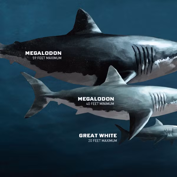 8 quai vat chung ta nen cam ta troi dat vi chung da bien mat