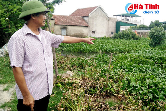 ban an co hieu luc 2 nam phuong dau lieu van day dua khong thi hanh
