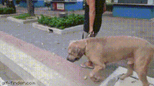 10 anh hai hot nhat facebook trong ngay