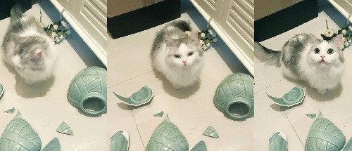 10 anh hai hot nhat facebook trong ngay