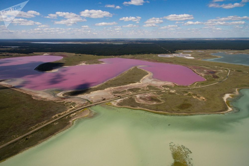 nhung ho muoi mau hong tuyet dep o nga