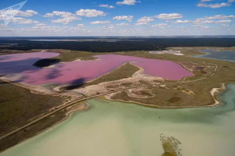 nhung ho muoi mau hong tuyet dep o nga