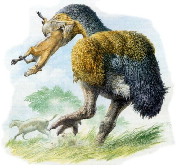 8 quai vat chung ta nen cam ta troi dat vi chung da bien mat