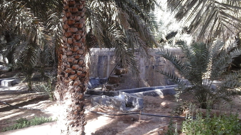 Oasis Al Ain Cách Abu Dhabi 1 giờ lái xe là Al Ain, được mệnh danh là “thành phố xanh” bởi các suối nước nóng tự nhiên, ốc đảo, và núi đá hoang sơ. Du khách có thể thư giãn ở ốc đảo trung tâm bên cạnh Bảo tàng Quốc gia Al Ain, nơi có những rừng cây cọ rộng lớn, đài phun nước, và những con đường có mái che. nhung dieu khien abu dhabi tuyet hon dubai trong mat du khach