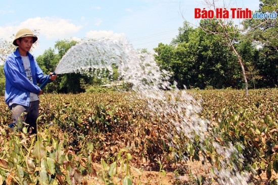 Biến đổi khí hậu - nhiều thách thức ảnh 2