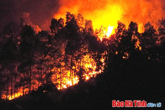 Ảnh minh họa về một vụ cháy rừng ở Hương Sơn