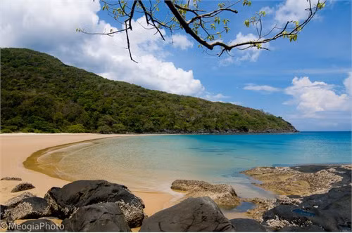 Bãi Đầm Trầu hoang sơ, vắng vẻ với nước trong vắt và bờ cát mịn màng.