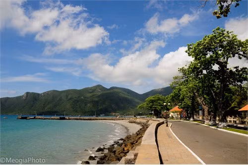 Thị trấn Côn Đảo nằm ngay ven đường bờ biển với con đường rợp bóng những cây bàng cổ thụ , nơi đây còn nổi tiếng với món đặc sản hạt bàng rang, mứt hạt bàng.