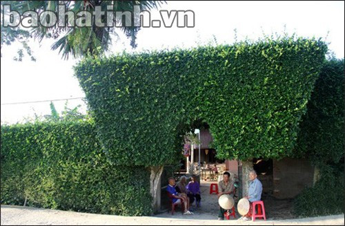 Tùng Ảnh vừa có những con đường thảm nhựa bê tông rộng rãi, những ngôi nhà 2-3 tầng, vừa có những bờ rào mạn hảo đậm đà nét quê.