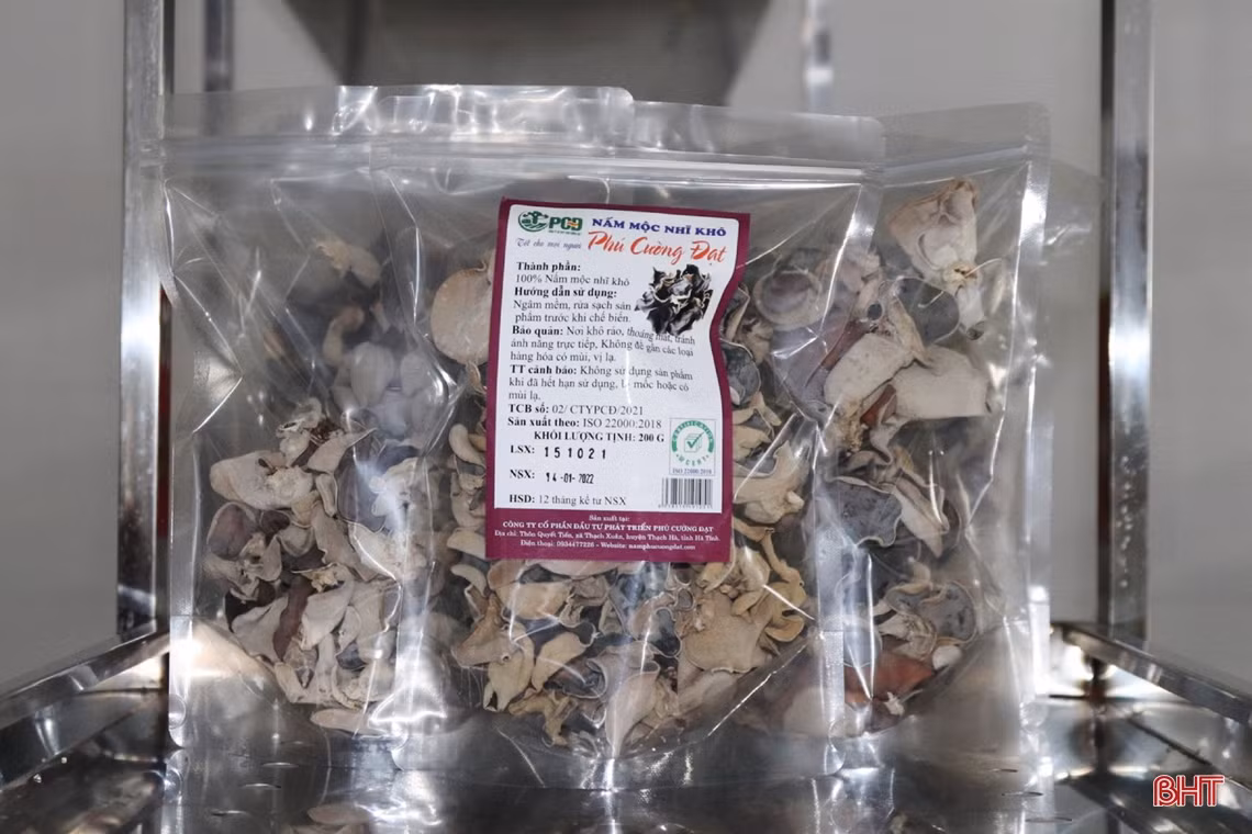 Mô hình trồng nấm cho doanh thu gần 3 tỷ đồng/năm ở Hà Tĩnh