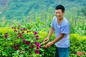 "Quả ngọt" nông thôn mới Ân Phú