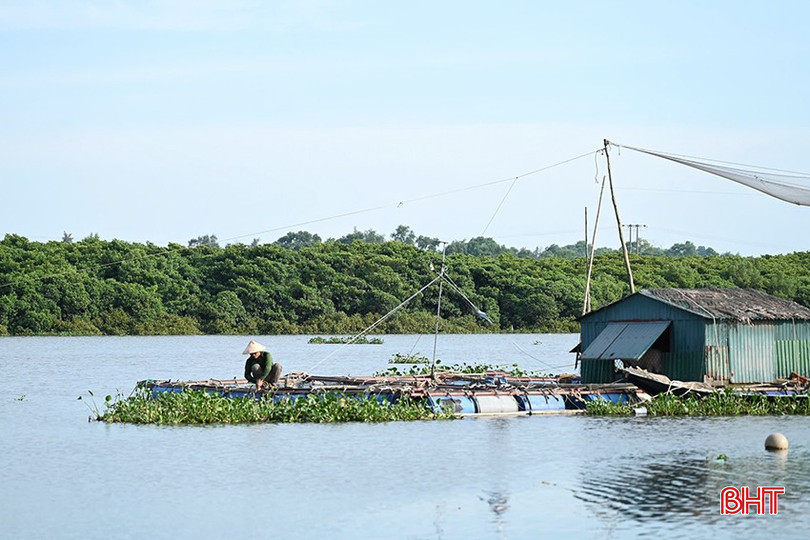 ដើម្បីឆ្លើយតបនឹងការព្យាករណ៍ព្យុះលេខ ៥ ដែលមានកម្លាំងខ្លាំង និងការអភិវឌ្ឍន៍ស្មុគស្មាញ គ្រួសារវារីវប្បកម្មនៅ Ha Tinh បានអនុវត្តវិធានការជាបន្ទាន់ដើម្បីពង្រឹង និងការពារស្រះ និងទ្រុង ដើម្បីកម្រិតការខូចខាតដែលបណ្តាលមកពីព្យុះ និងភ្លៀង។ bqbht_br_01.jpg