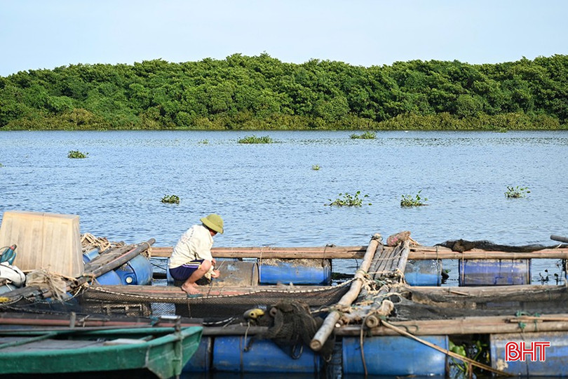 យោងតាមនាយកដ្ឋានជលផលខេត្ត Ha Tinh បច្ចុប្បន្នផ្ទៃដីវារីវប្បកម្មសរុបក្នុងខេត្តមានជិត ៥.៣០០ ហិកតា ក្នុងនោះជាង ២.៨០០ ហិចតា ជាទឹកសាប និងជិត ២.៣០០ ហិកតា ស្ថិតក្នុងទឹកប្រឡាក់ ក្នុងនោះ ១៦២ ទ្រុង និងបង្កងជាង ១.៥០០ ហិកតា។ ទិន្នផលដែលមិនទាន់ប្រមូលផលត្រូវបានគេប៉ាន់ប្រមាណថាមានប្រហែល ៧ ពាន់តោន។ bqbht_br_04.jpg