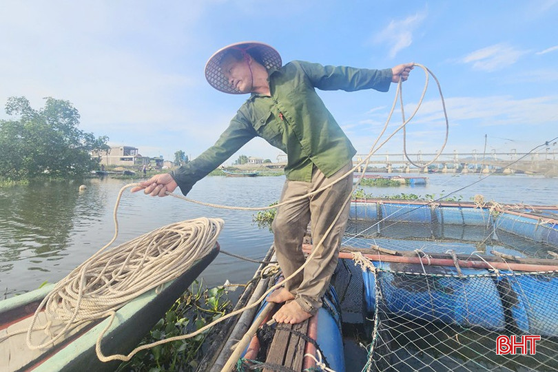 អស់រយៈពេលជាង 15 ឆ្នាំ លោក Nguyen Van Binh (ភូមិ Song Hai ឃុំ Thach Ha) បានប្រកបរបរចិញ្ចឹមត្រីក្នុងទ្រុងនៅតំបន់ខាងក្រោមតំបន់ Do Diem bara នៃទន្លេ Nghen។ រាល់ពេលដែលគាត់ឮដំណឹងអំពីព្យុះ លោក Nguyen Van Binh (ភូមិ Song Hai ឃុំ Thach Ha) មានអារម្មណ៍ថប់បារម្ភ។ ដូច្នេះនៅពេលដែលគាត់បានឮអំពីព្យុះទី 5 គាត់បានរៀបចំផែនការឆ្លើយតបភ្លាមៗដើម្បីការពារទ្រុងត្រីរបស់គ្រួសារគាត់។ bqbht_br_09.jpg