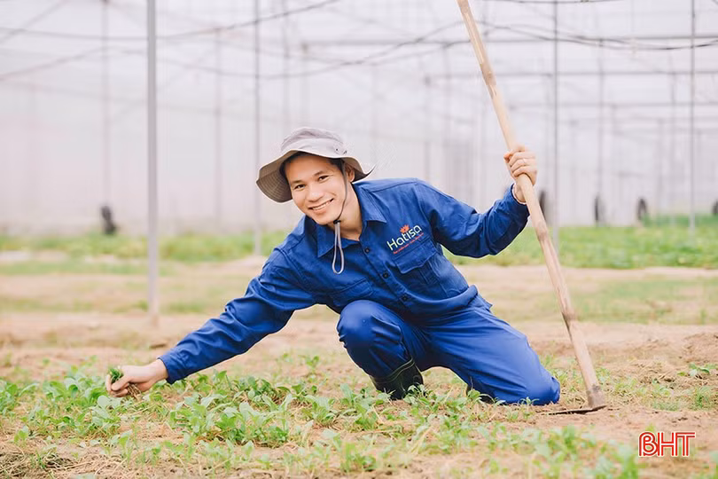 Anh Nguyễn Mạnh Tường với dự án liên kết sản xuất, chế biến, tiêu thụ rau, củ, quả sạch.