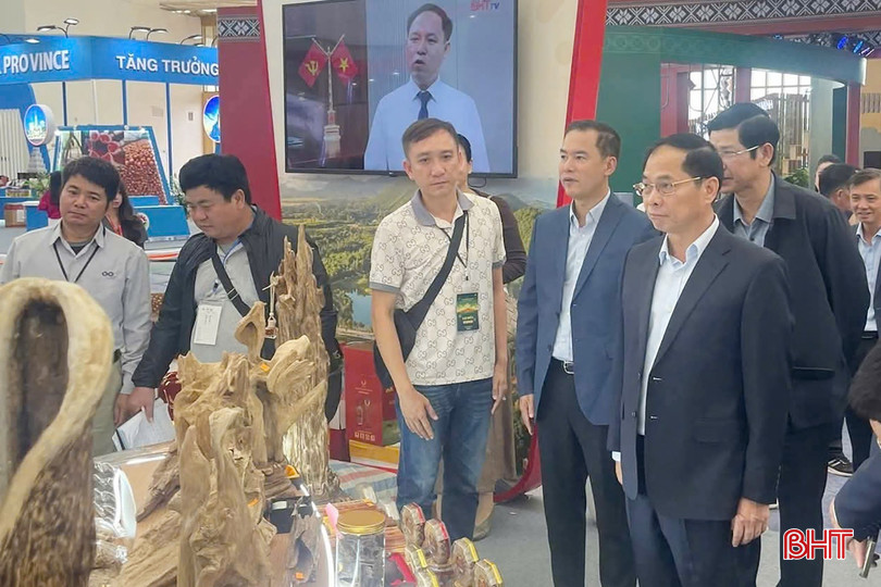 Phó Thủ tướng Chính phủ Bùi Thanh Sơn tham quan gian hàng Hà Tĩnh. bqbht_br_009.jpg