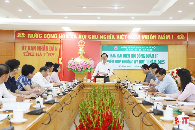 Phó Chủ tịch UBND tỉnh Trần Báu Hà chủ trì phiên họp. bqbht_br_a7.jpg