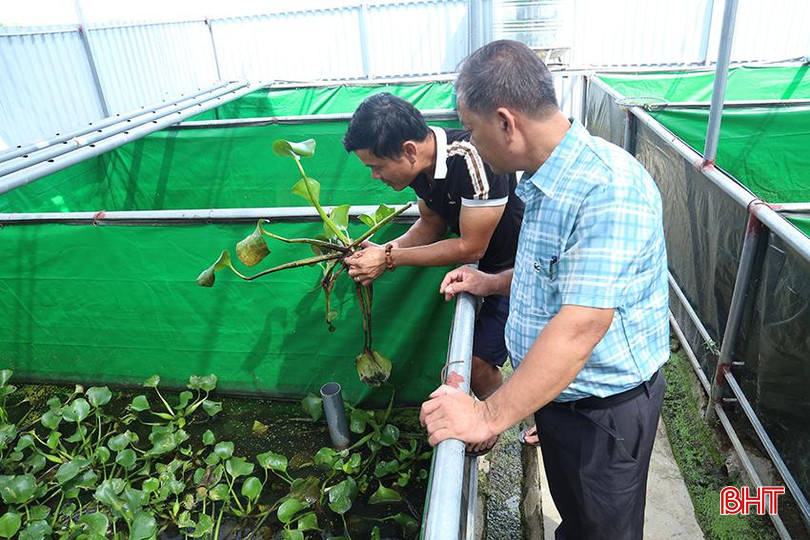 Mô hình nuôi cua đồng của anh Ngô Hà Phương (thôn Đông Nam) góp phần nâng cao các tiêu chí nông thôn mới tại địa phương. 2.jpg