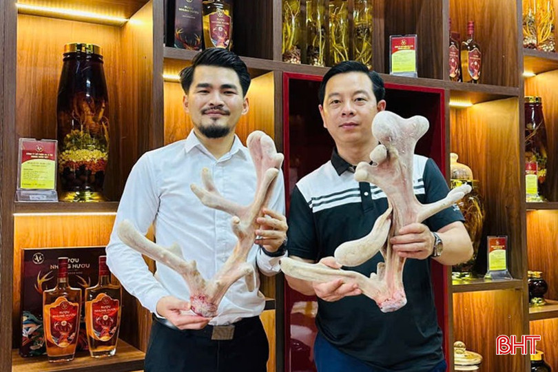 Anh Nguyễn Khắc Huân (áo trắng) khởi nghiệp với sản phẩm nhung hươu. 4.jpg