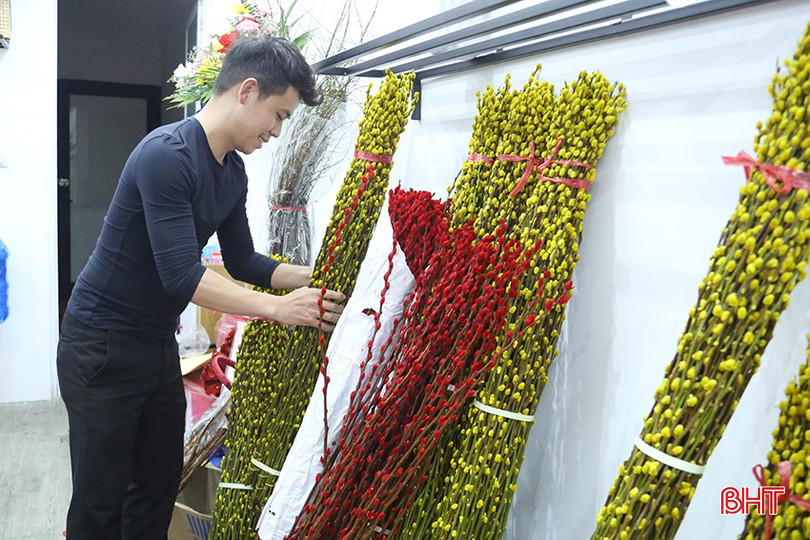 Cửa hàng Kho hoa Hà Tĩnh đã nhận nhiều đơn đặt hàng Tết của khách với đa dạng loại hoa. bqbht_br_1.jpg