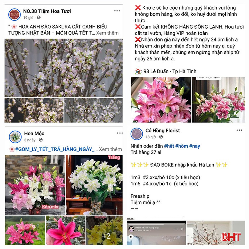Các cơ sở kinh doanh đăng bài quảng bá, gom đơn hoa Tết. bqbht_br_z6255547821912-811d723eb278031762a3b0ddcddacd4f-7003.jpg