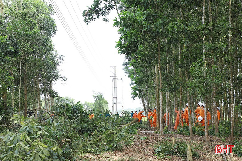 Công ty Điện lực Hà Tĩnh ra quân giải phóng hành lang an toàn lưới điện cao áp. bqbht_br_3.jpg