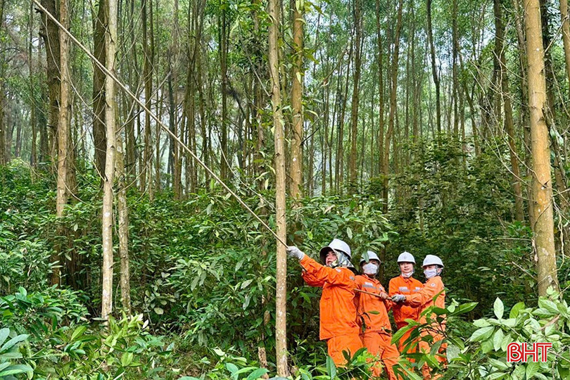 Xí nghiệp lưới điện cao thế Hà Tĩnh ra quân phát quang đảm bảo hành lang lưới điện. bqbht_br_5.jpg