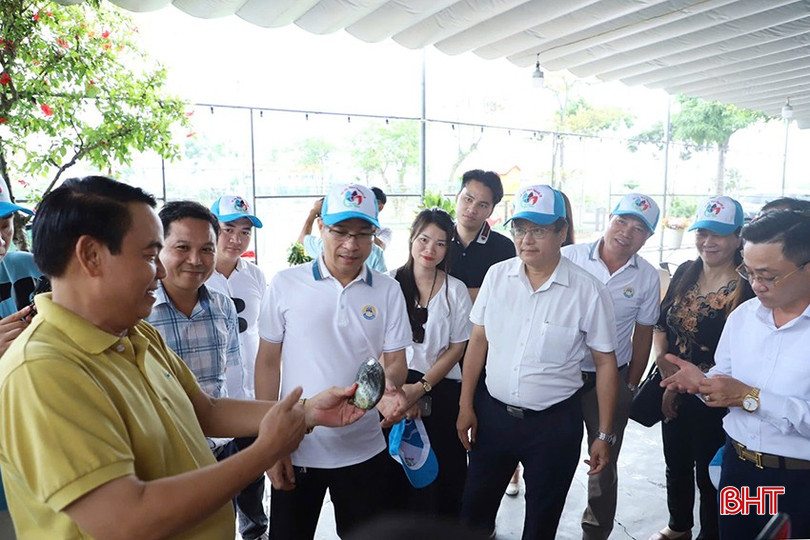 IPA tổ chức đón các đoàn farmtrip về tham quan, tìm hiểu tại các điểm du lịch nông thôn của Hà Tĩnh. bqbht_br_1.jpg
