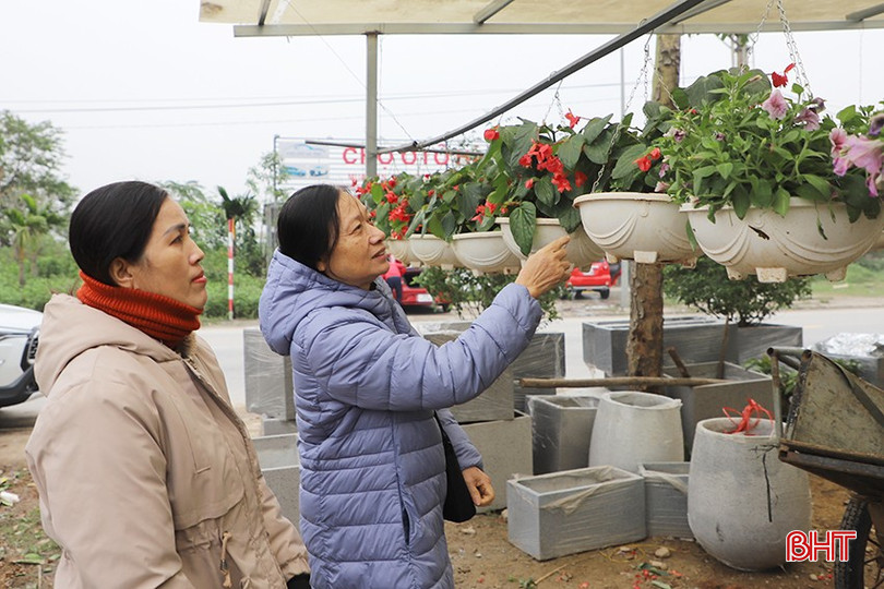 Nhiều khách hàng có xu hướng chọn mua hoa, cây cảnh sớm để trang trí nhà cửa. bqbht_br_7.jpg