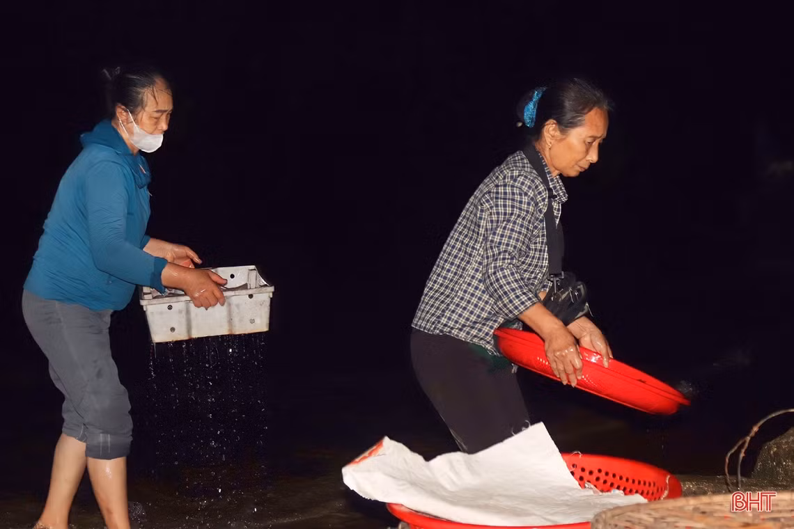 Chợ cá Cồn Gò nhộn nhịp sáng cuối tuần