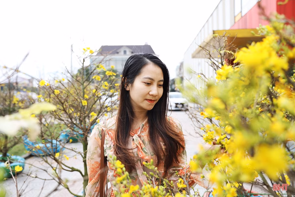 Xuân về rực rỡ trên đô thị trẻ phía Nam Hà Tĩnh