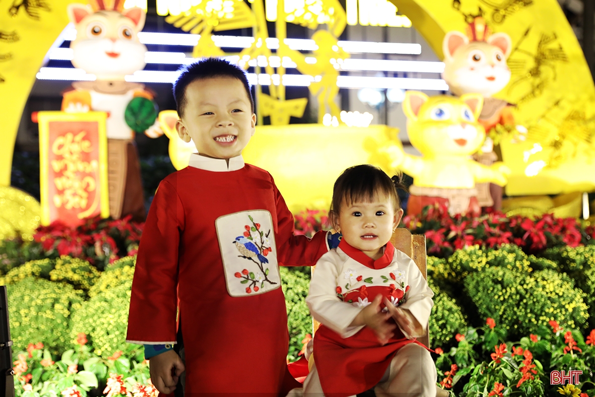 Xuân về rực rỡ trên đô thị trẻ phía Nam Hà Tĩnh