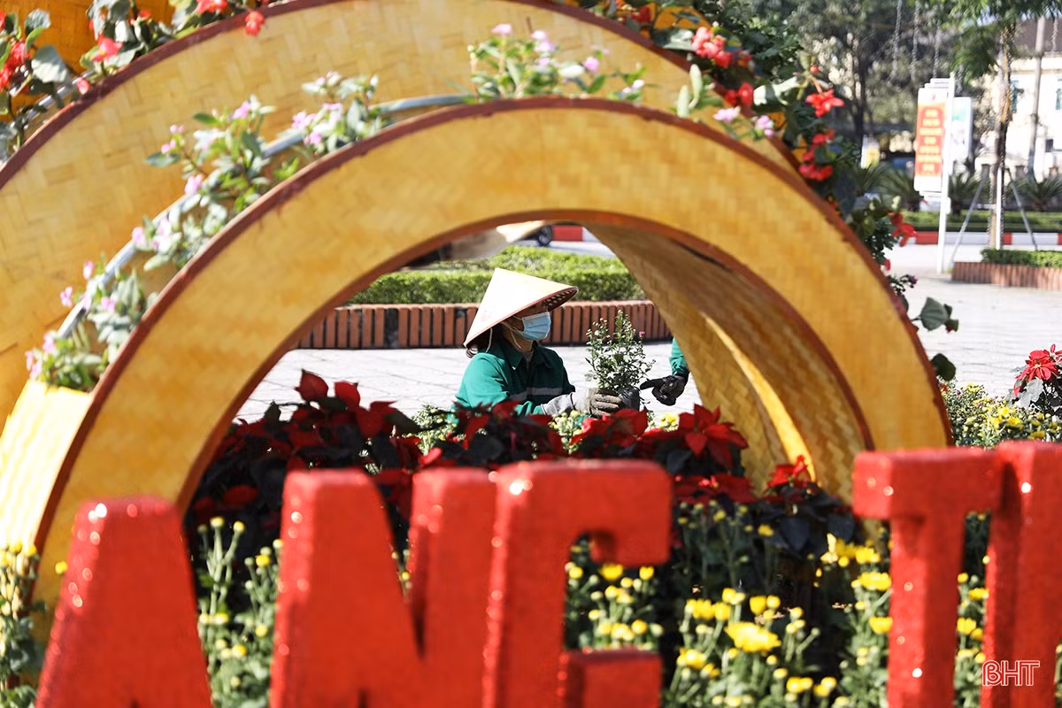 Xuân về rực rỡ trên đô thị trẻ phía Nam Hà Tĩnh