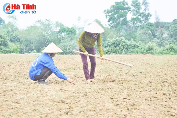 thoi tiet lam kho nguoi trong duoc lieu ha tinh