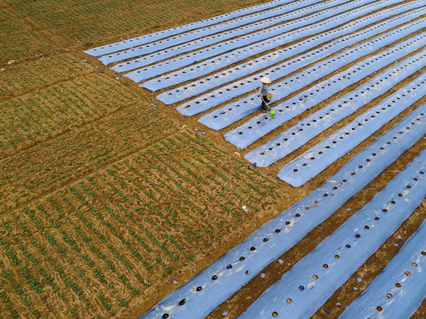 nhiep anh gia ha tinh giu ky luc tren tap chi danh tieng national geographic