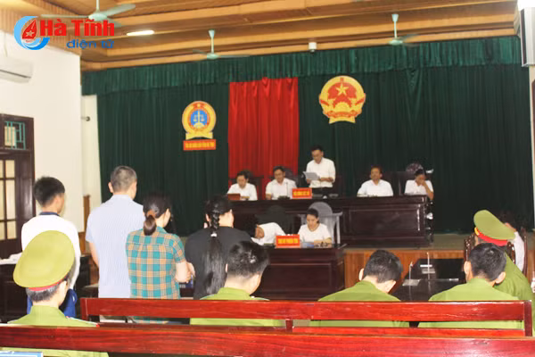 vu xu cong ty ma sci can bo thue can nghiem tuc rut kinh nghiem