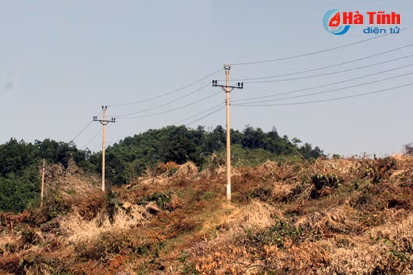 xu ly thuc bi bang lua rinh rap nguy co chay rung