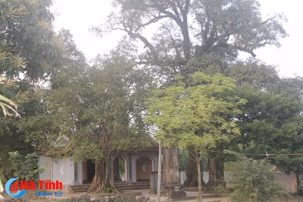 cam huy dau tu 5 ty dong trung tu 13 di tich